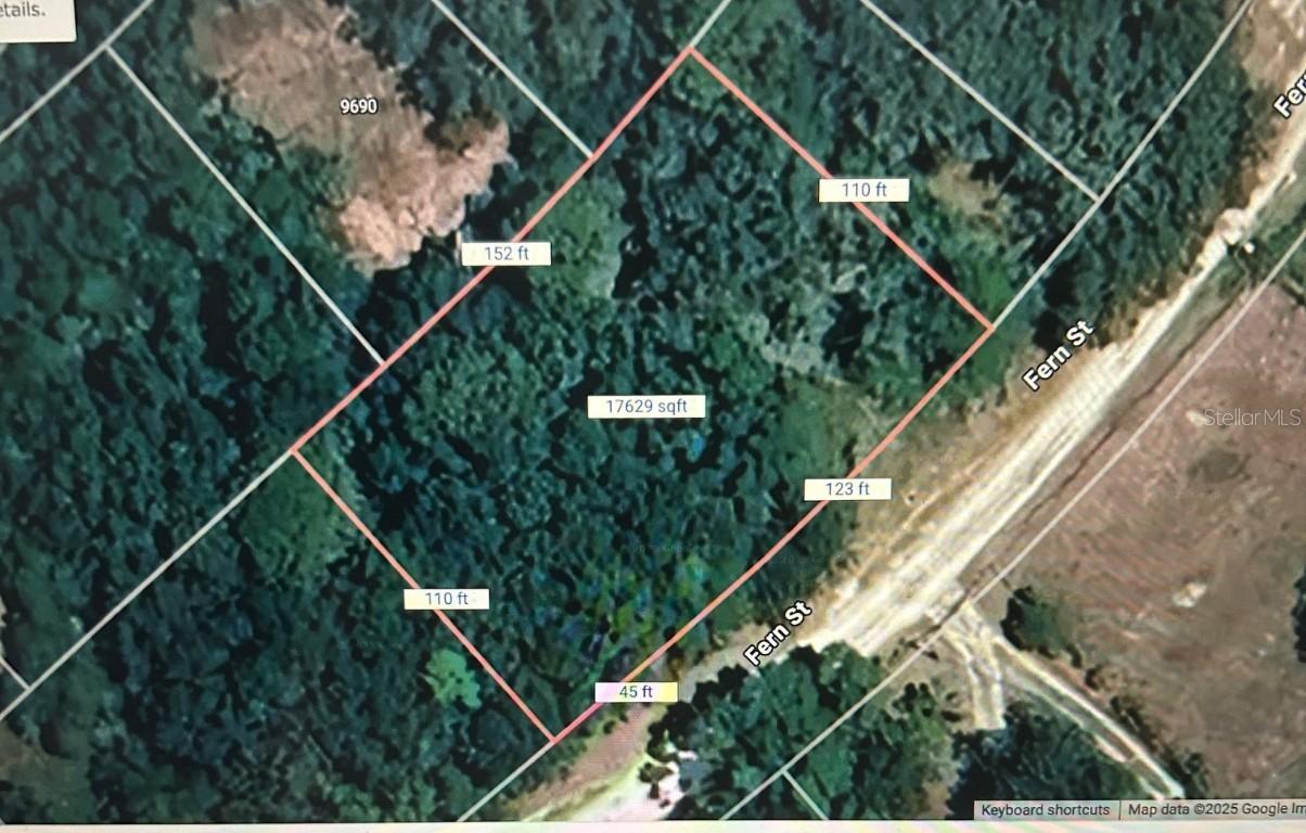 Fern St., New Port Richey, FL 34654