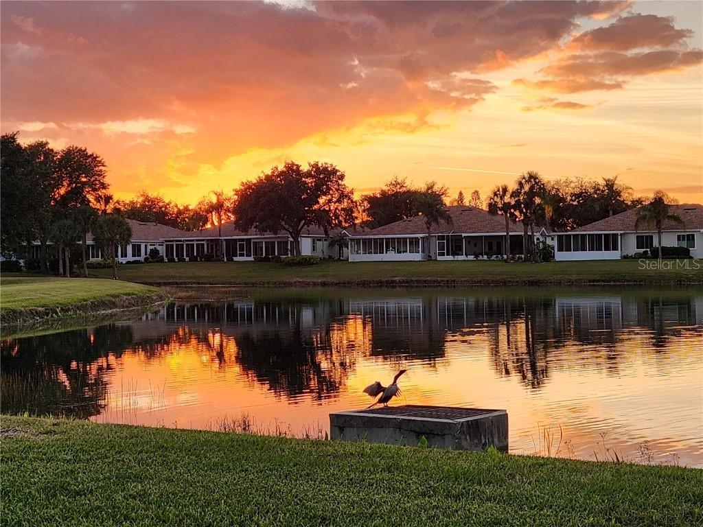 1214 Fairway Greens Dr. #fair, Sun City Center, FL 33573