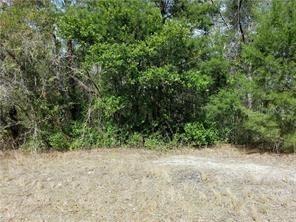 16254 Gupton St., Brooksville, FL 34613