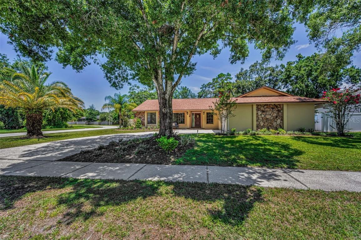 3041 Oak View Dr., Palm Harbor, FL 34684