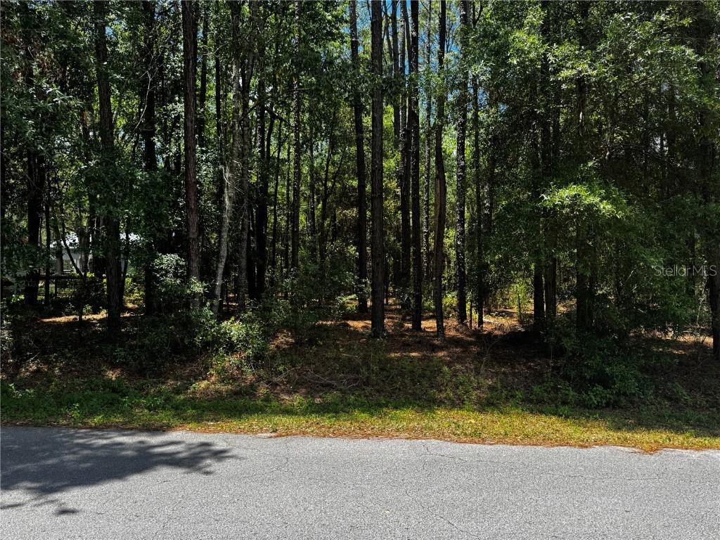 SW 202nd Ct., Dunnellon, FL 34431