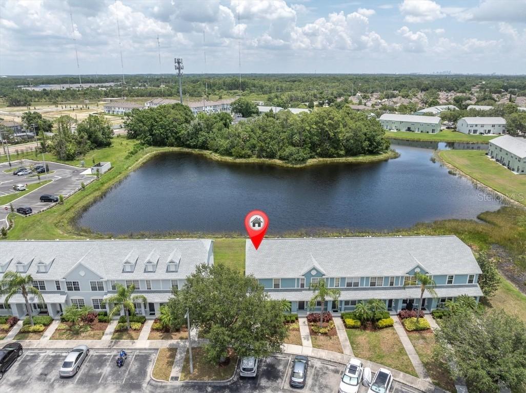 11617 Colony Lake Dr., Tampa, FL 33635