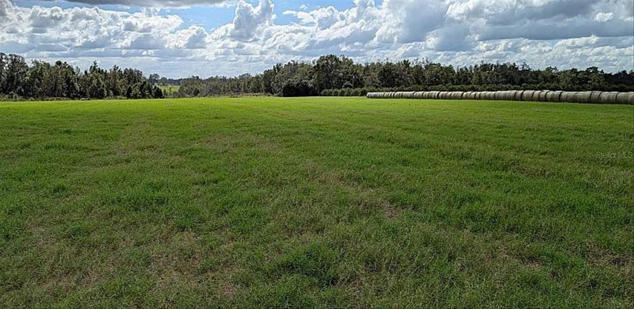 Amberlea Rd., Dade City, FL 33523