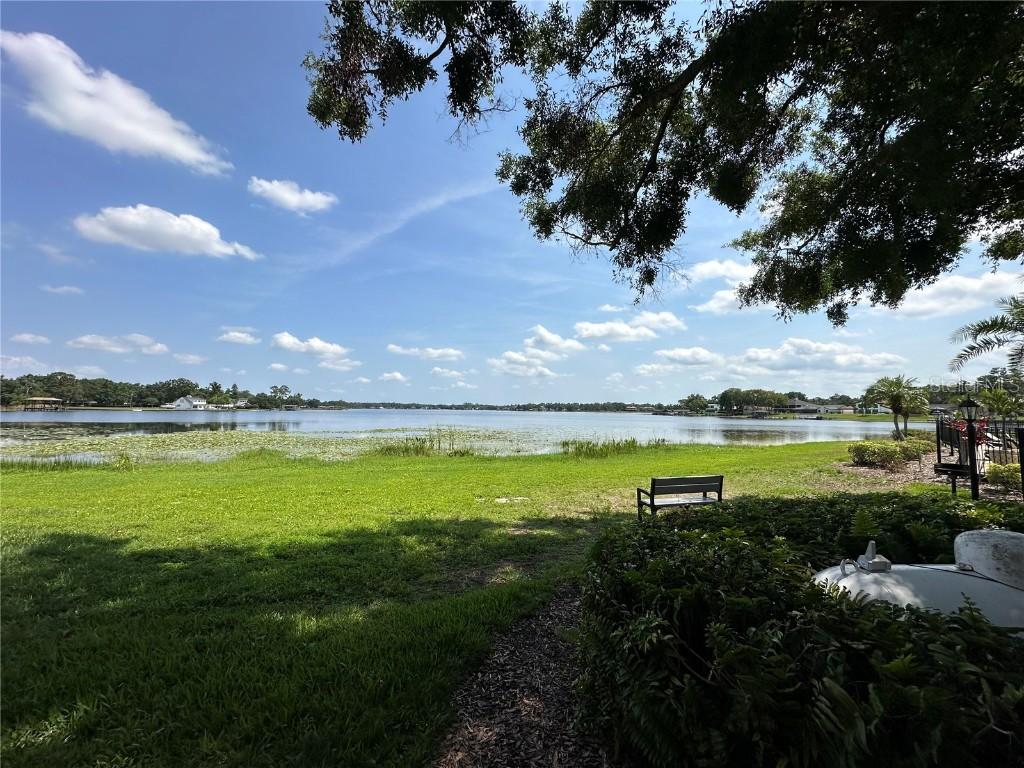 13709 Juniper Blossom Dr., Tampa, FL 33618