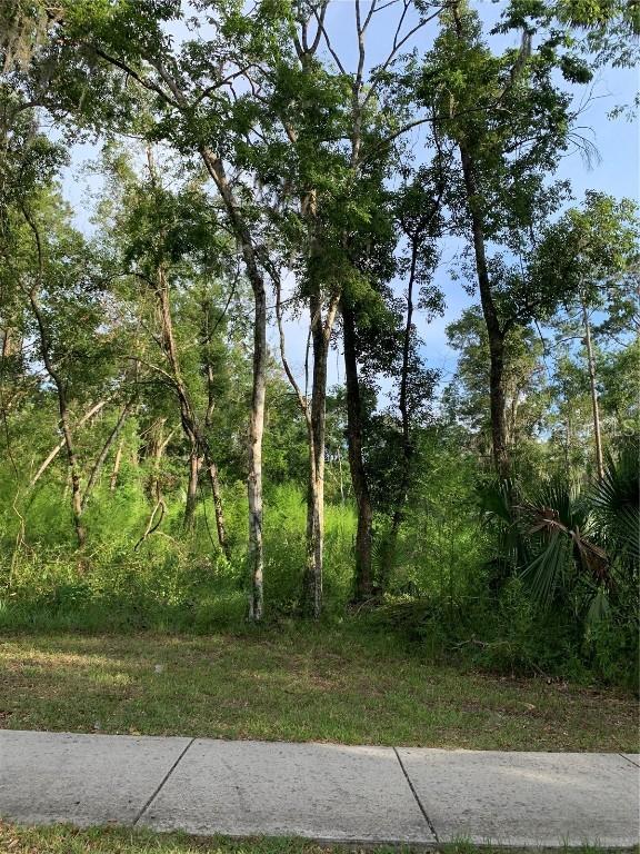 625 W Dr M L King Jr Blvd., Brooksville, FL 34601