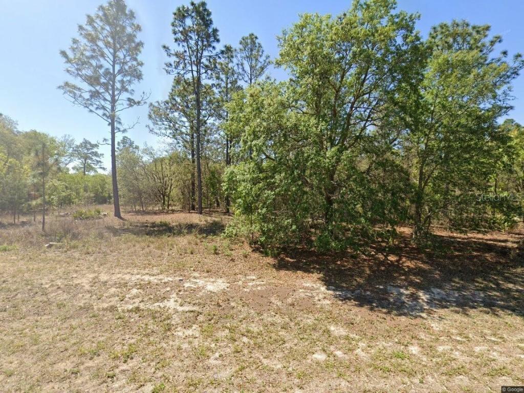 1816 W Hampshire Blvd., Citrus Springs, FL 34434