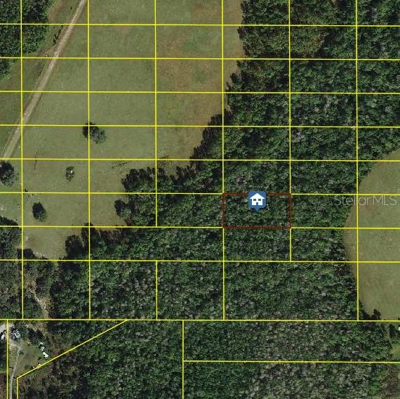 Tall Pine Rd., Polk City, FL 33868