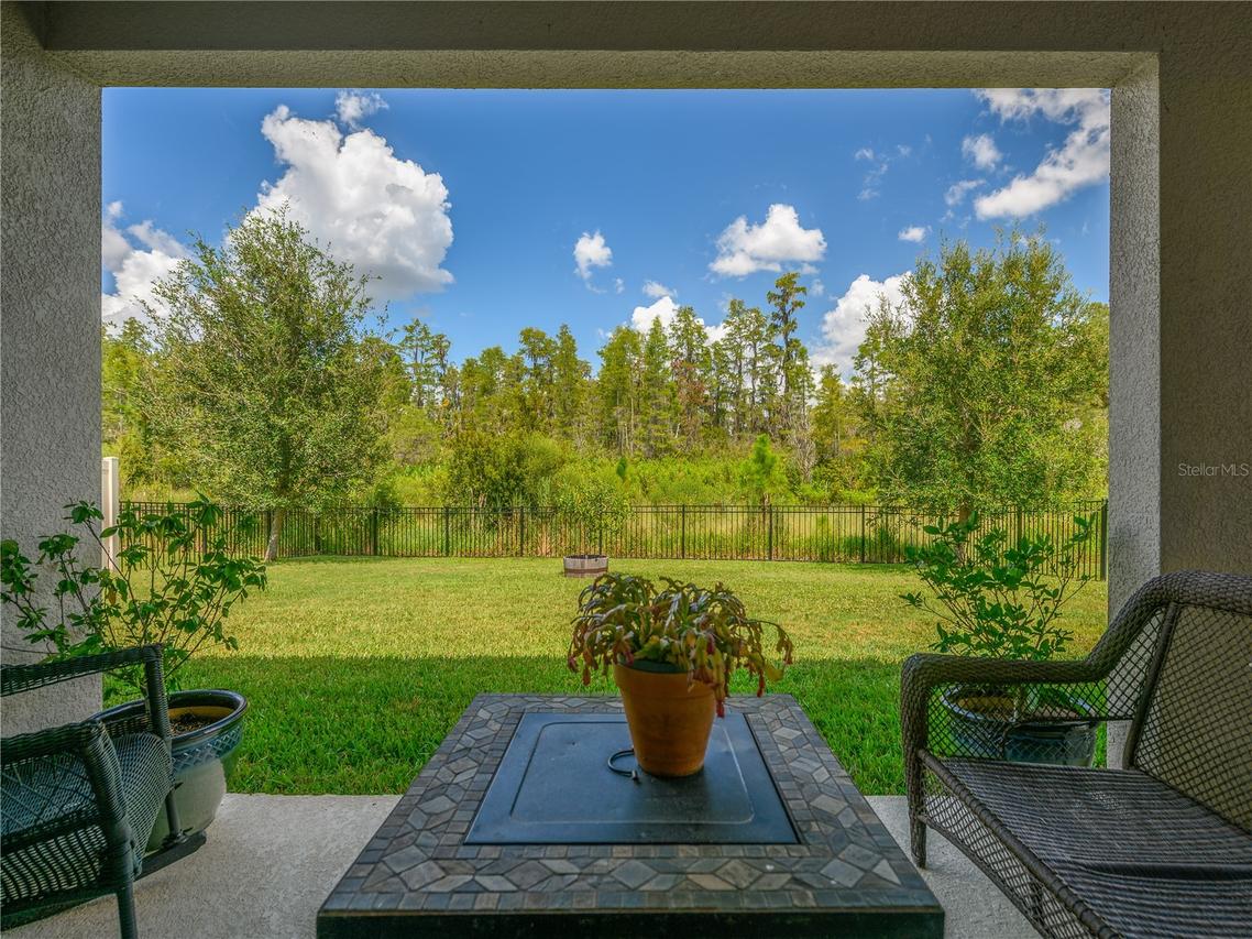 2898 Living Coral Dr., Odessa, FL 33556