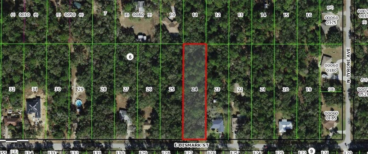 1191 E Bismark St., Hernando, FL 34442