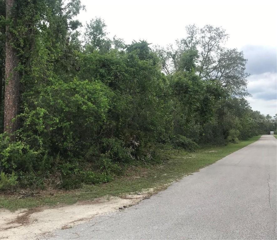 [Address Hidden by Seller], Webster, FL 33597