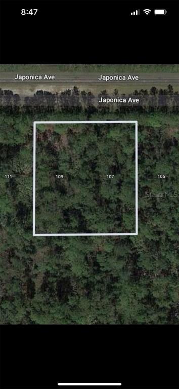 109 Japonica Ave., Indian Lake Estates, FL 33855