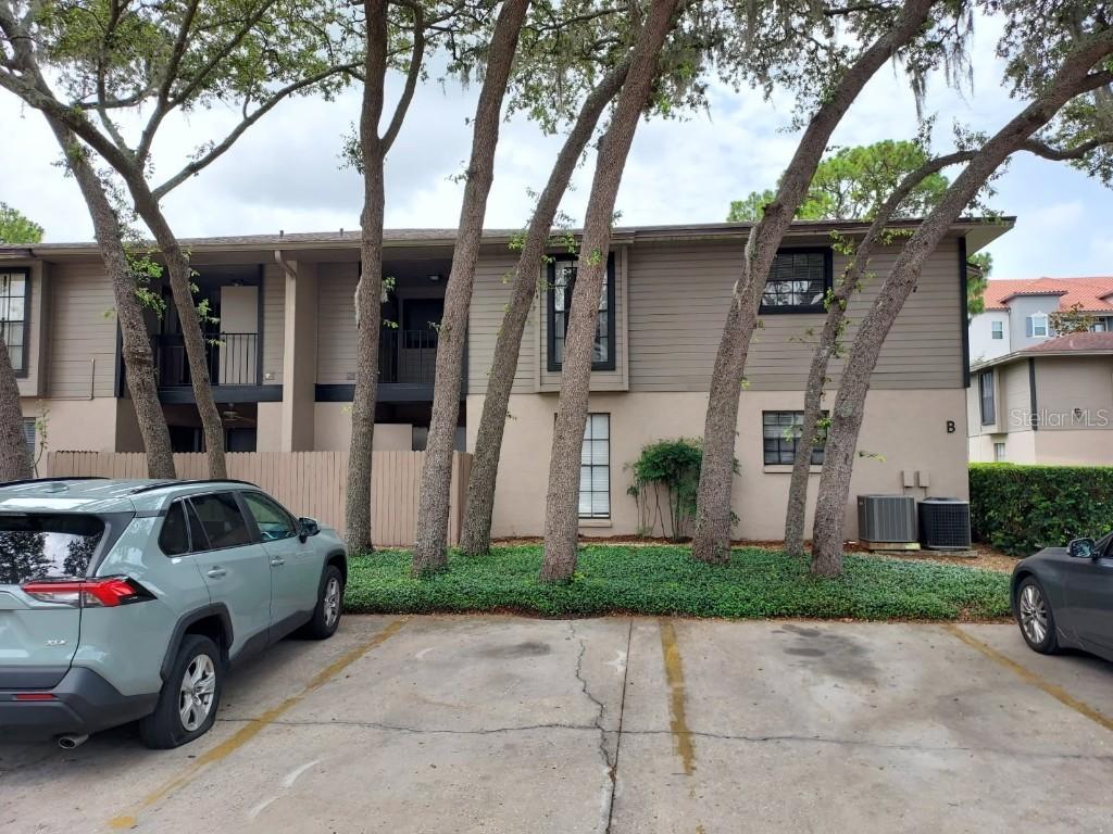 4111 Ashford Green Pl. #B203, Tampa, FL 33613