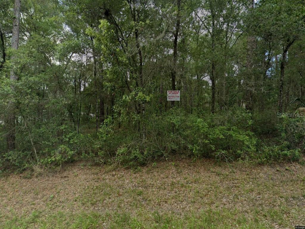 3346 E Anderson St., Inverness, FL 34453
