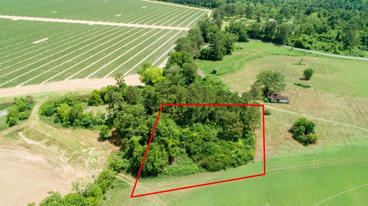 Tyler Sanders Rd., Quincy, FL 32352