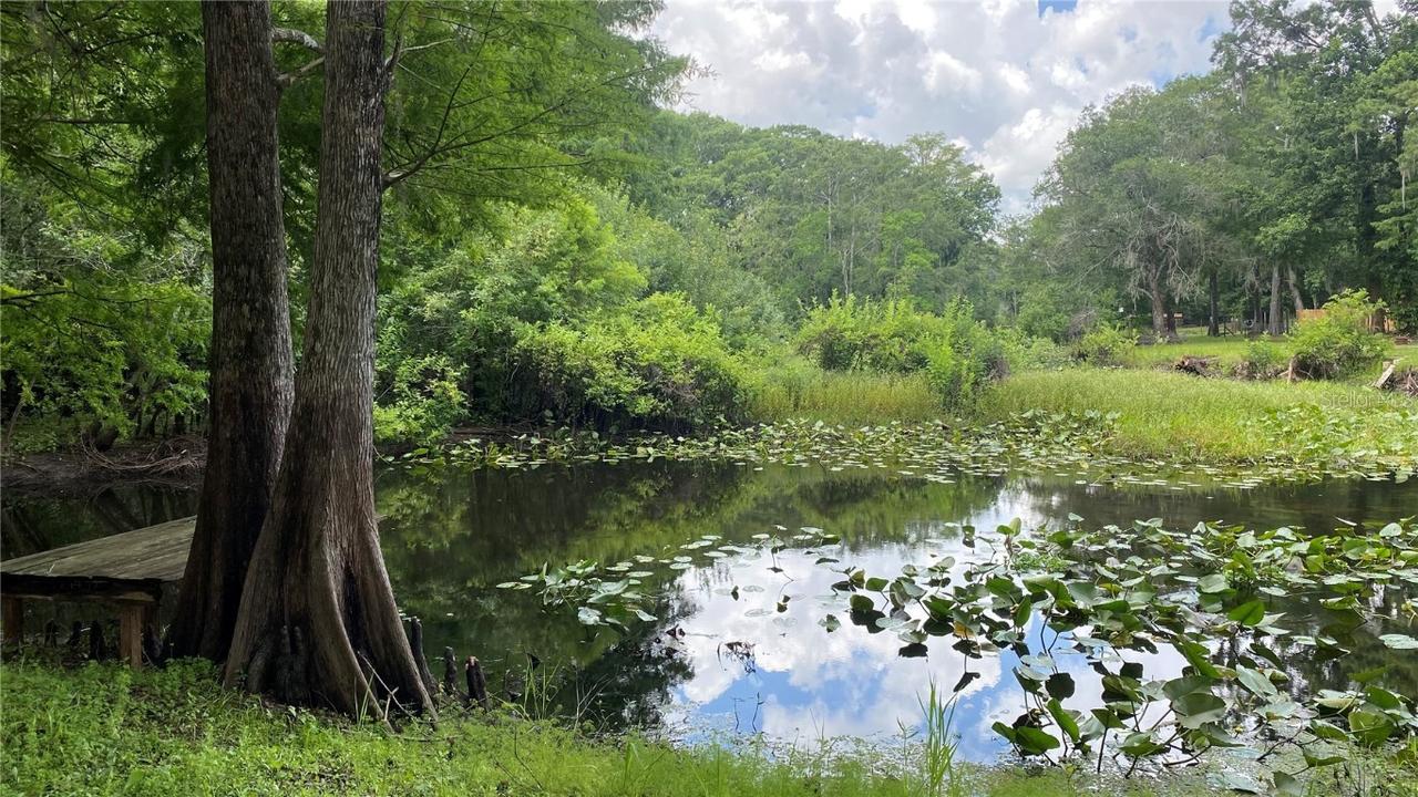 7234 Cr 651w, Bushnell, FL 33513