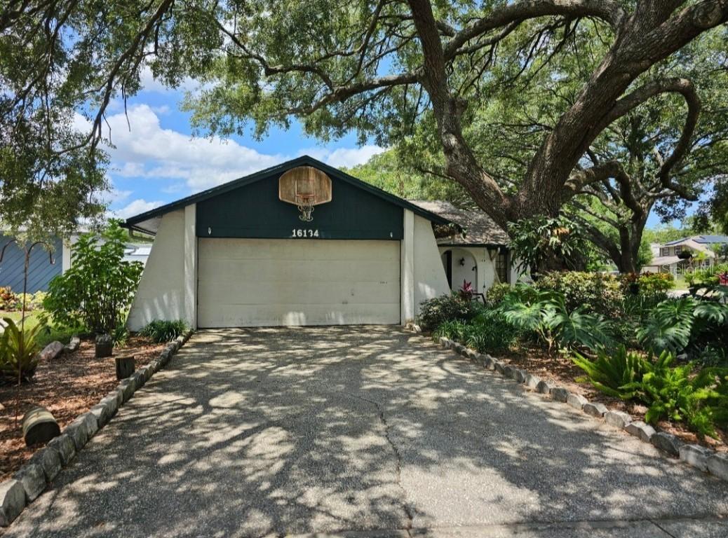 16134 Ravendale Dr., Tampa, FL 33618