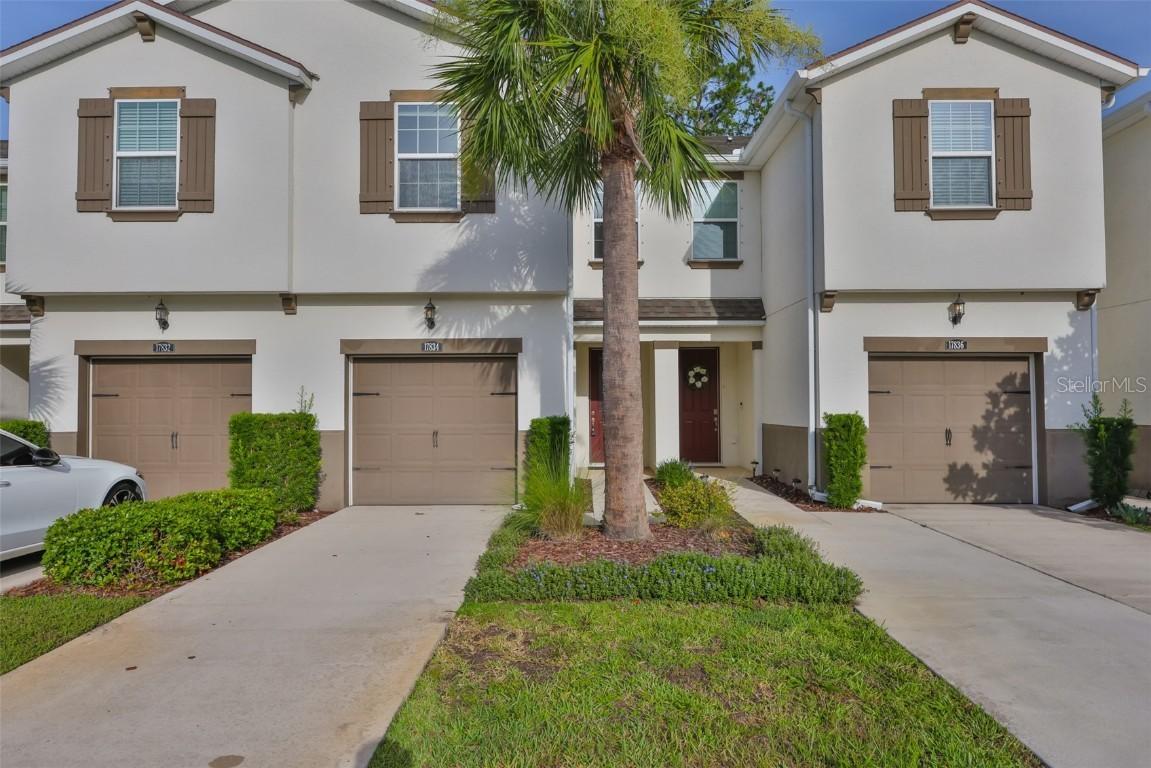 17834 Althea Blue Pl., Lutz, FL 33558