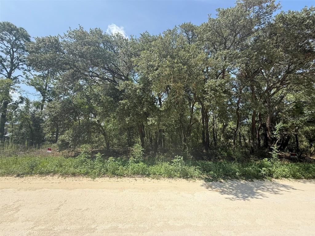 [Address Hidden by Seller], Dunnellon, FL 34432