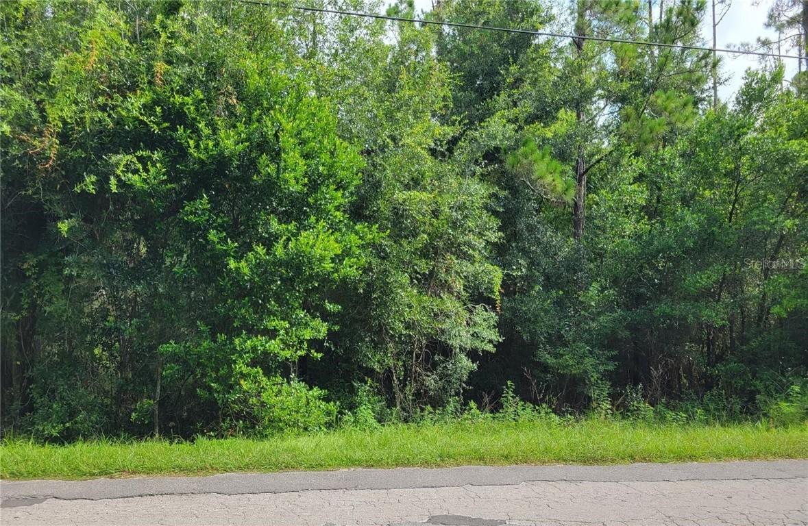0021 Centenial Dr., Dade City, FL 33525