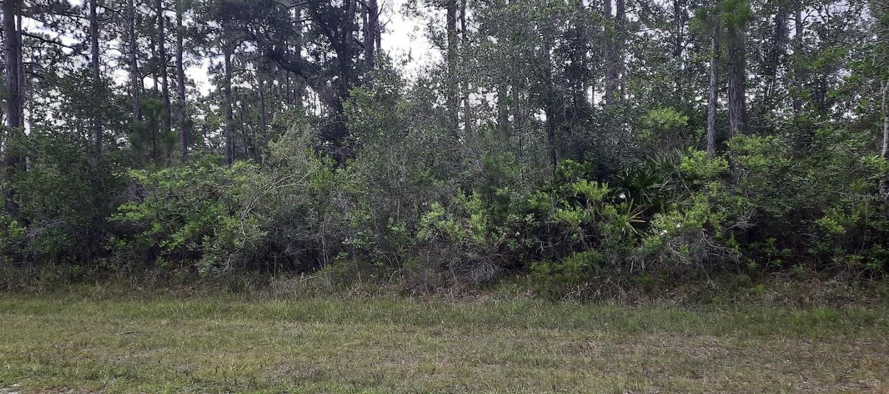 421 Azalea Dr., Indian Lake Estates, FL 33855