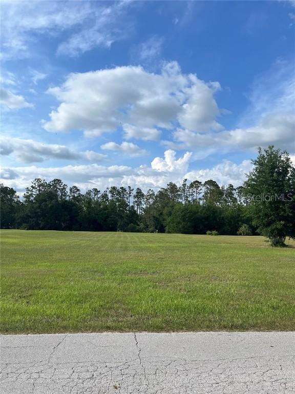 12940 Curley St., San Antonio, FL 33576