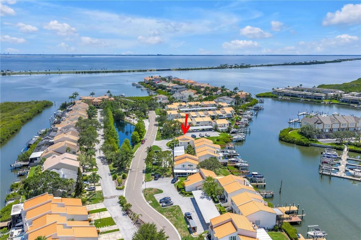 4202 Harbor House Dr. #24, Tampa, FL 33615