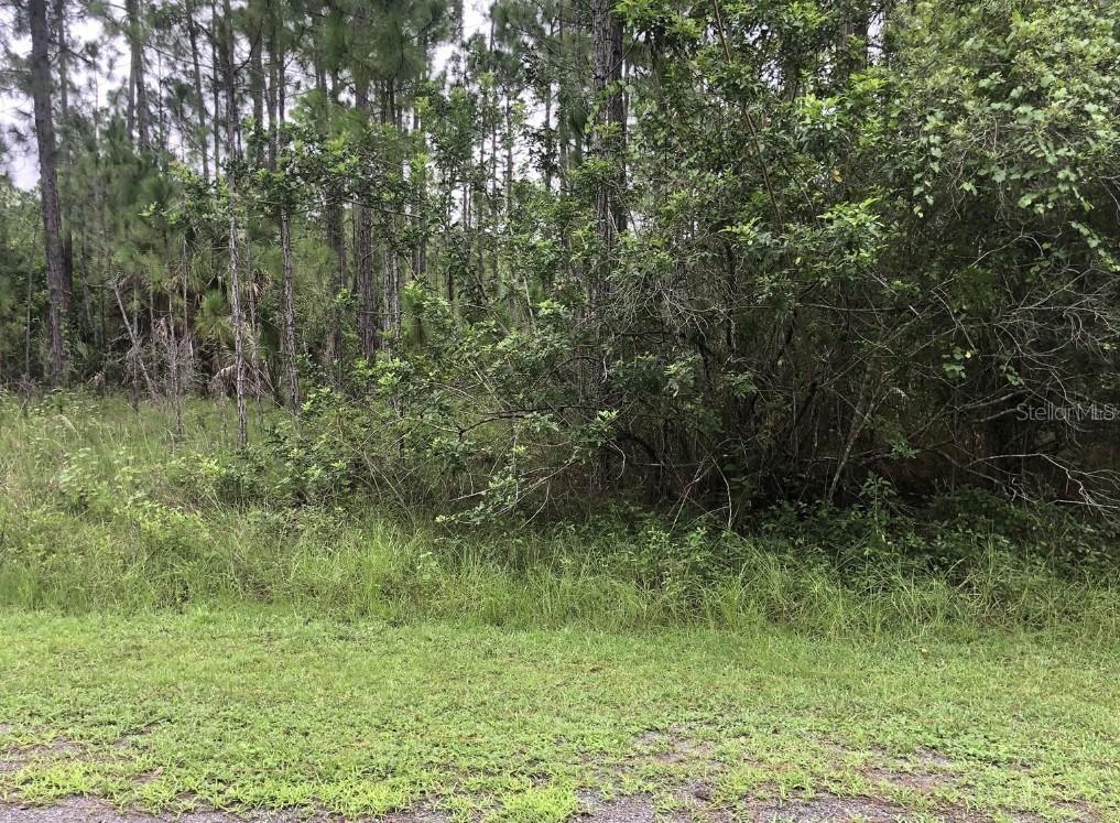 24 Amaryllis Dr., Indian Lake Estates, FL 33855