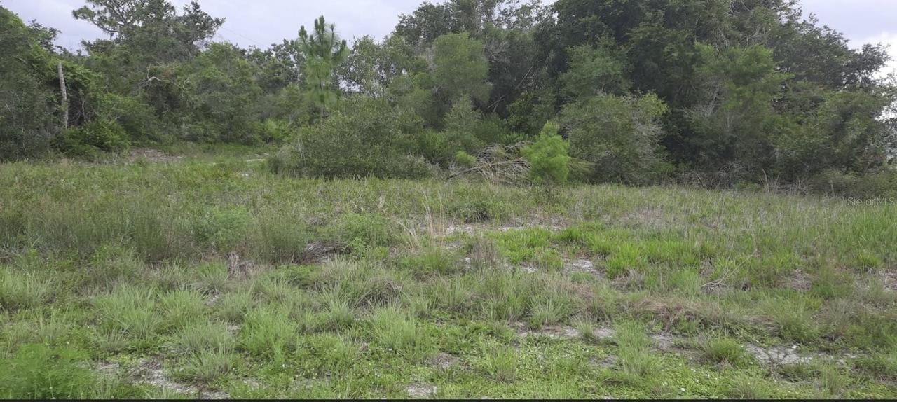 Park Ave., Indian Lake Estates, FL 33855