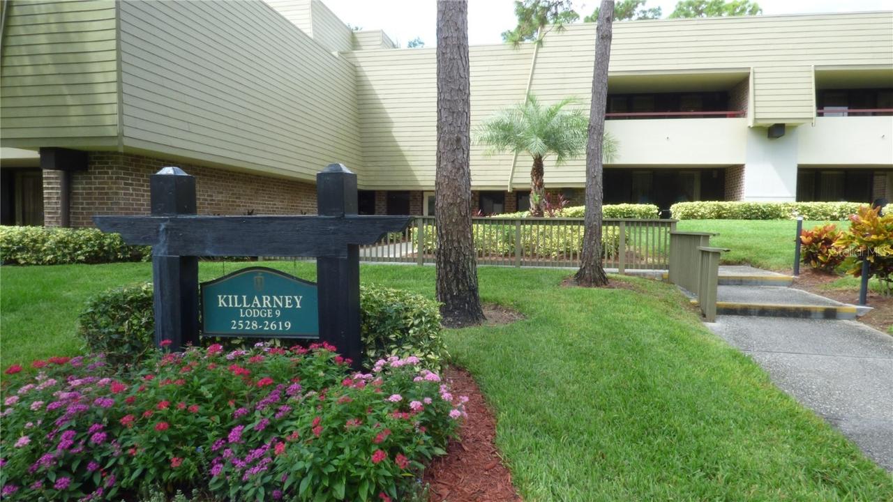 36750 Us 19 #09208, Palm Harbor, FL 34684