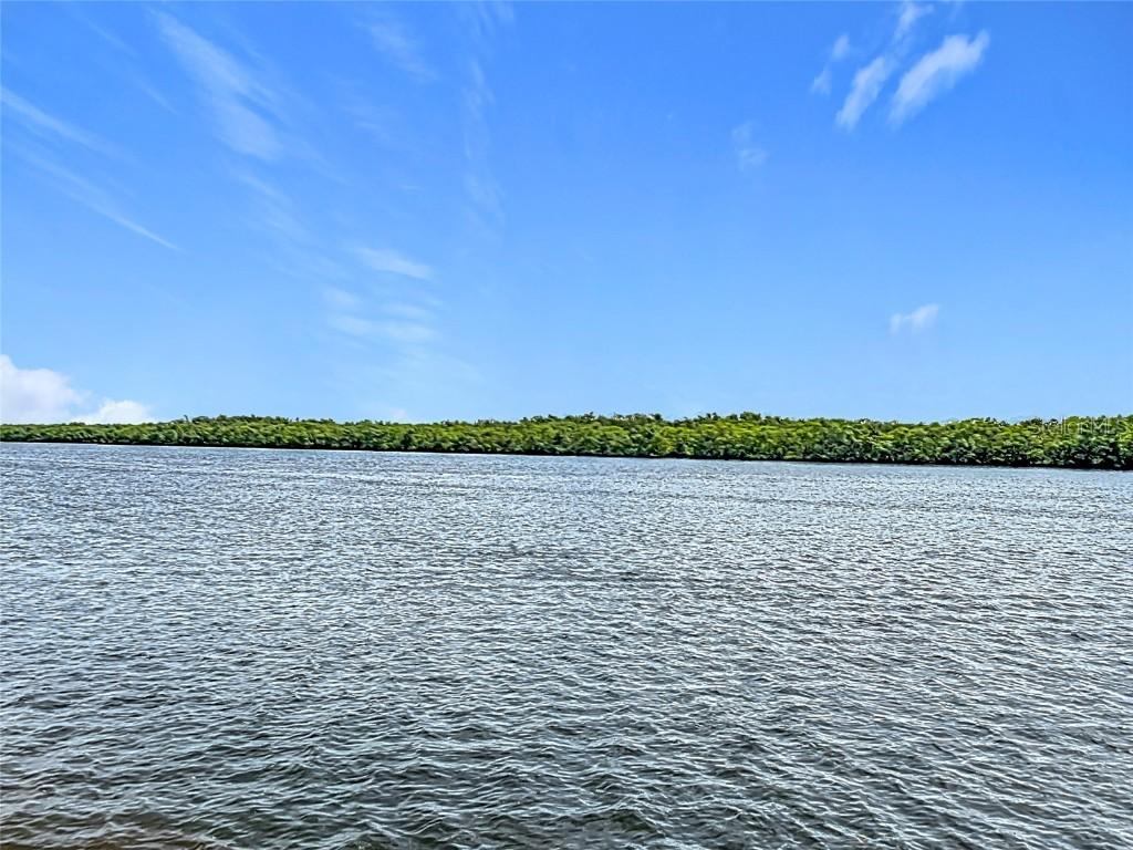 809 Bahia Del Sol Dr. #72, Ruskin, FL 33570