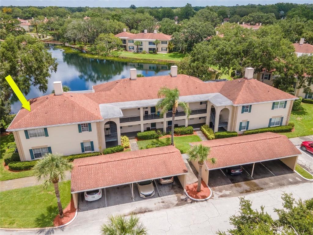 10330 Carrollwood Ln. #95, Tampa, FL 33618