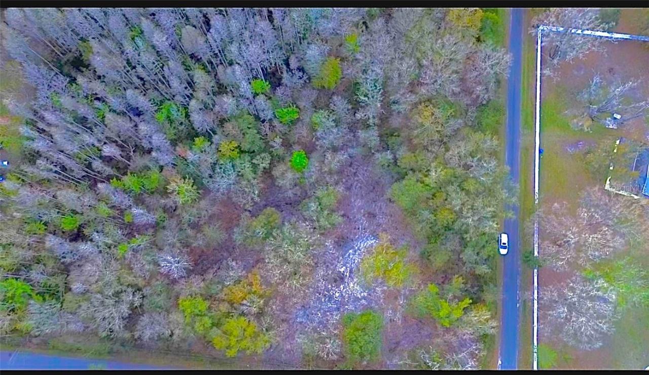 [Address Hidden by Seller], Thonotosassa, FL 33592