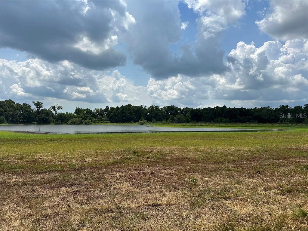 Palomino Lakes Dr, Dade City, FL 33523