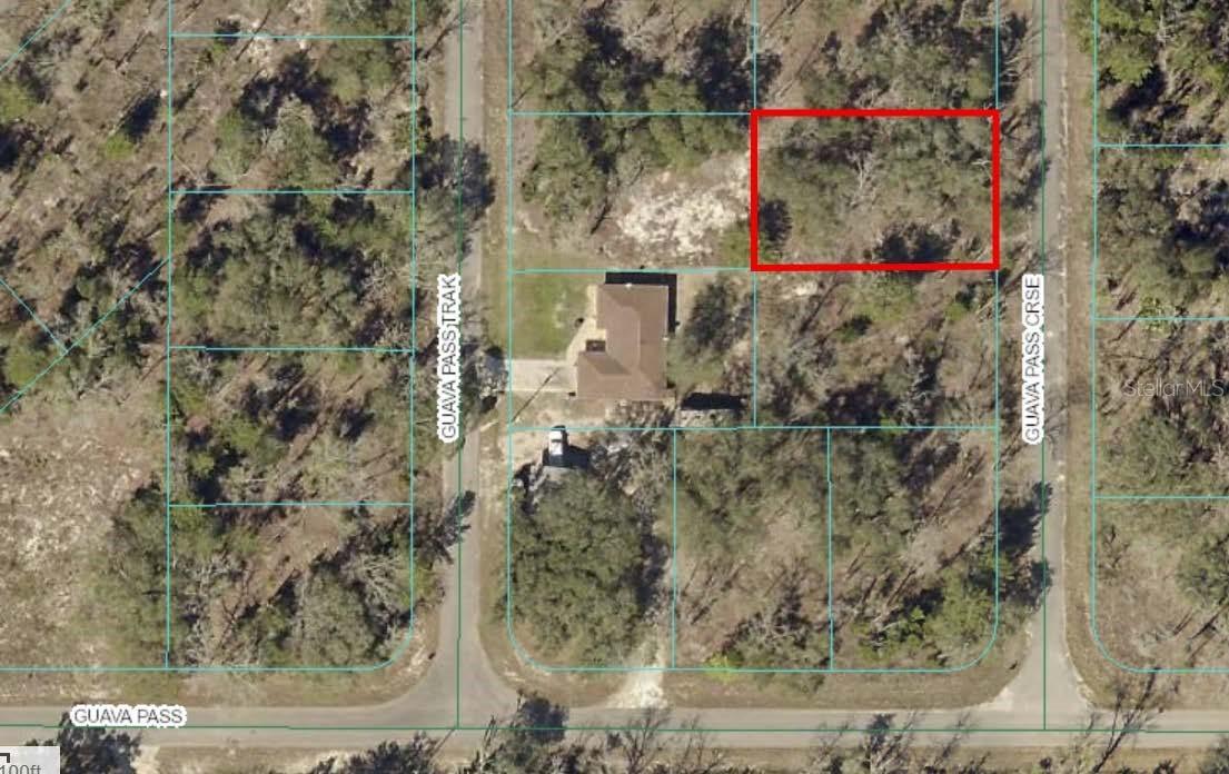 TBD Guava Pass Crossing Crossing #5, Ocklawaha, FL 32179