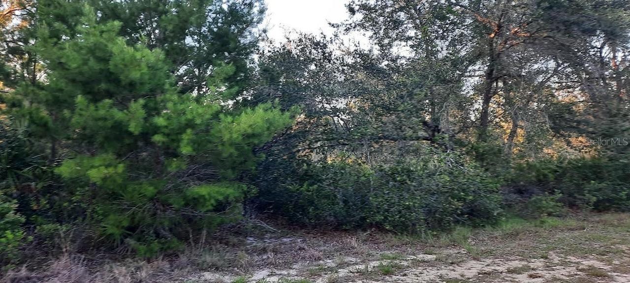 910 Granada Dr., Indian Lake Estates, FL 33855