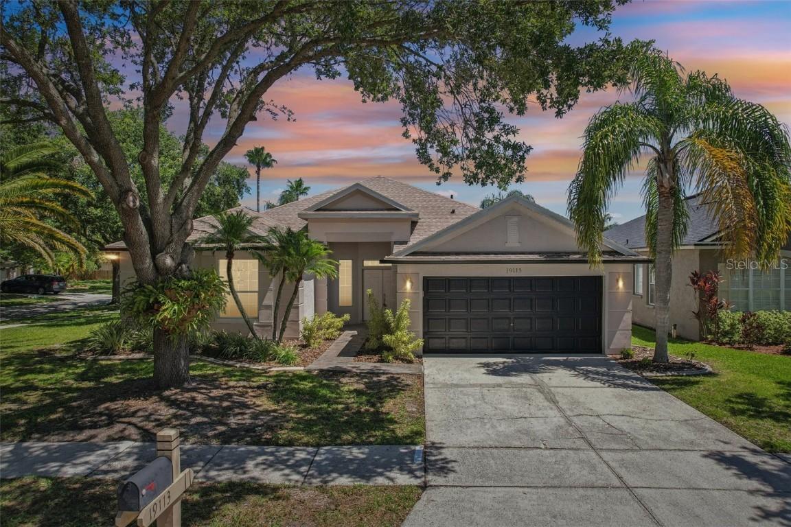 19113 Golden Cacoon Pl., Lutz, FL 33558