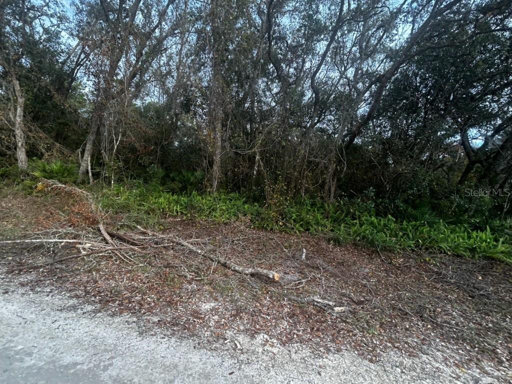 6330 Mike Ln., Webster, FL 33597