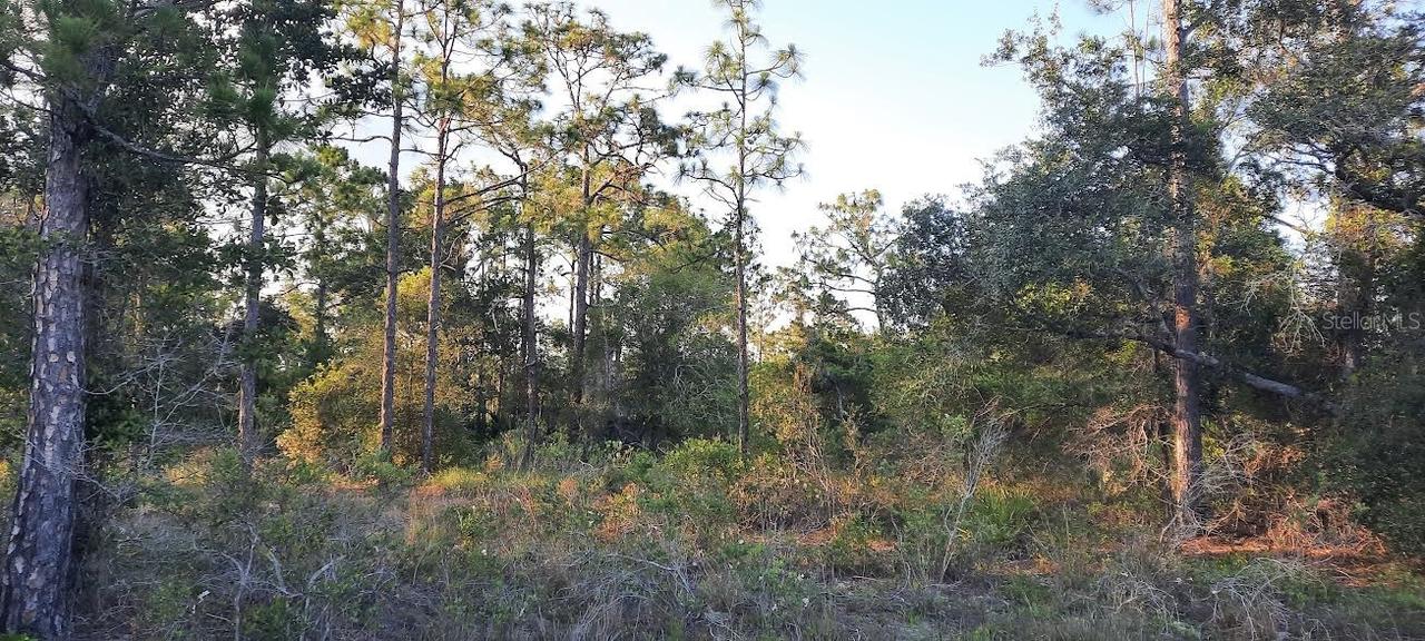 704 Plumosa Dr., Indian Lake Estates, FL 33855