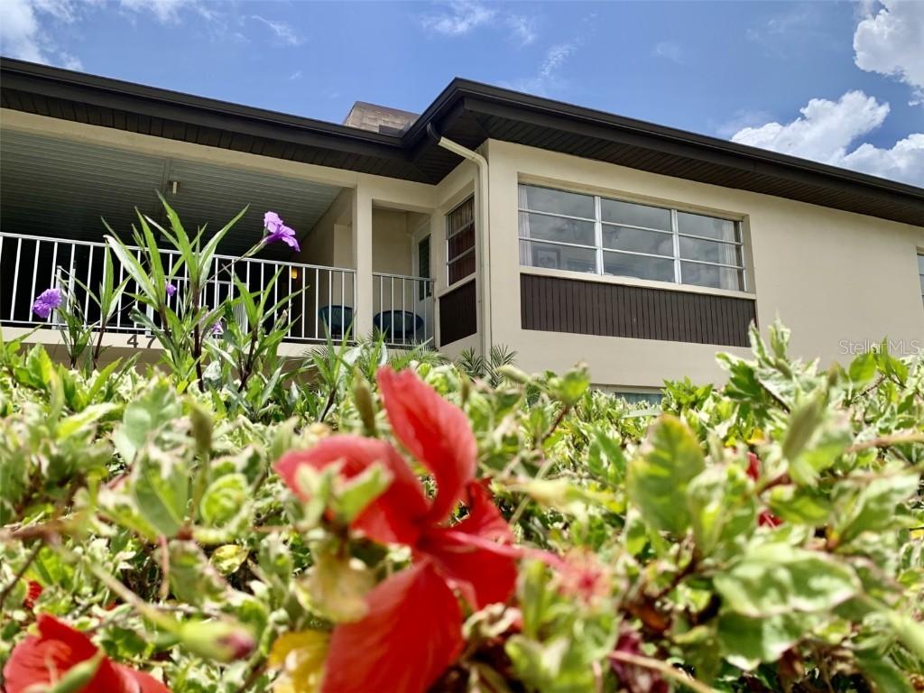 4712 Marine Pkwy. #203, New Port Richey, FL 34652
