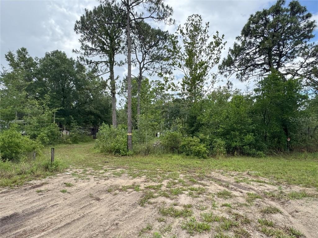 6958 W Mina Ln., Dunnellon, FL 34433