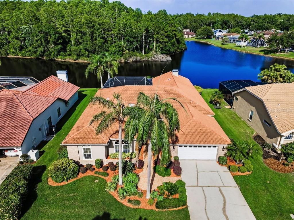2691 Saddlewood Ln., Palm Harbor, FL 34685