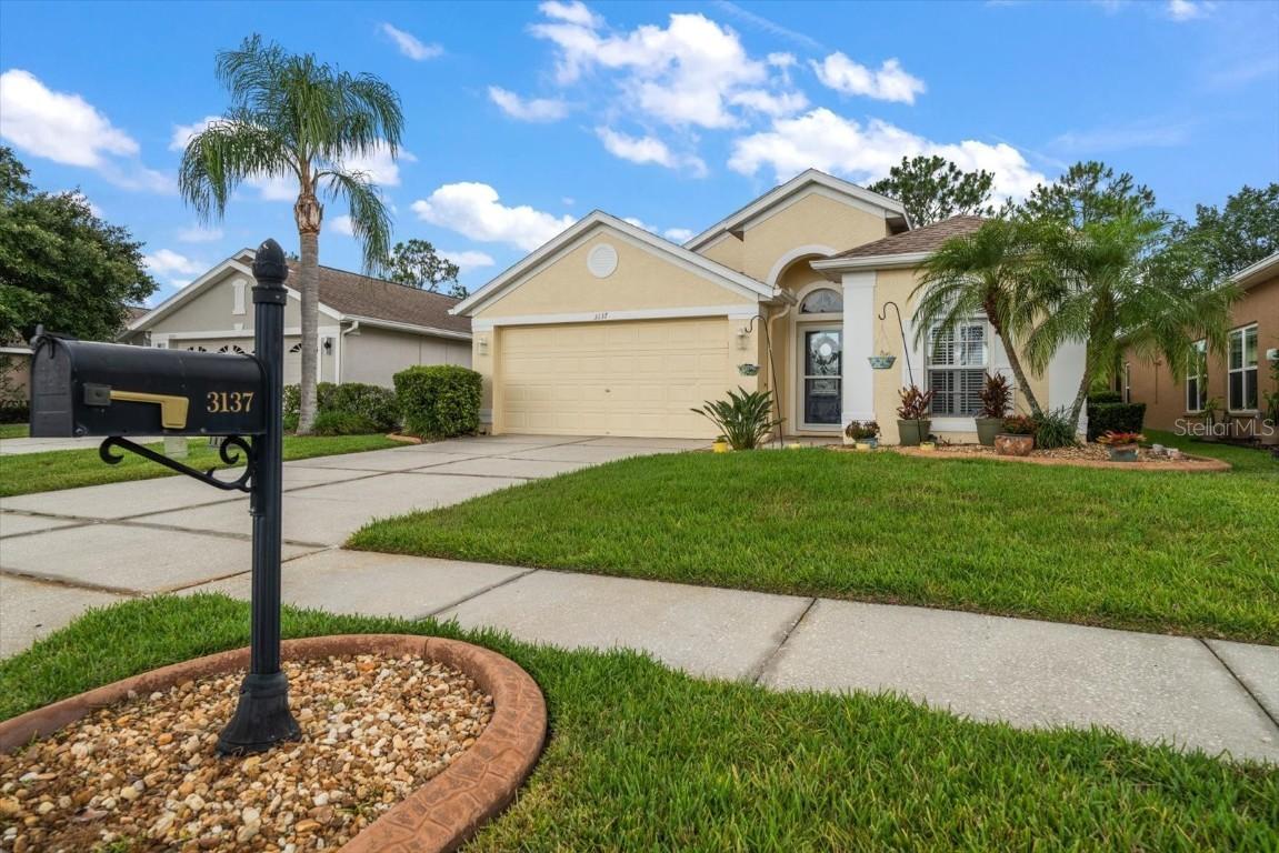 3137 Banyan Hill Ln., Land O Lakes, FL 34639