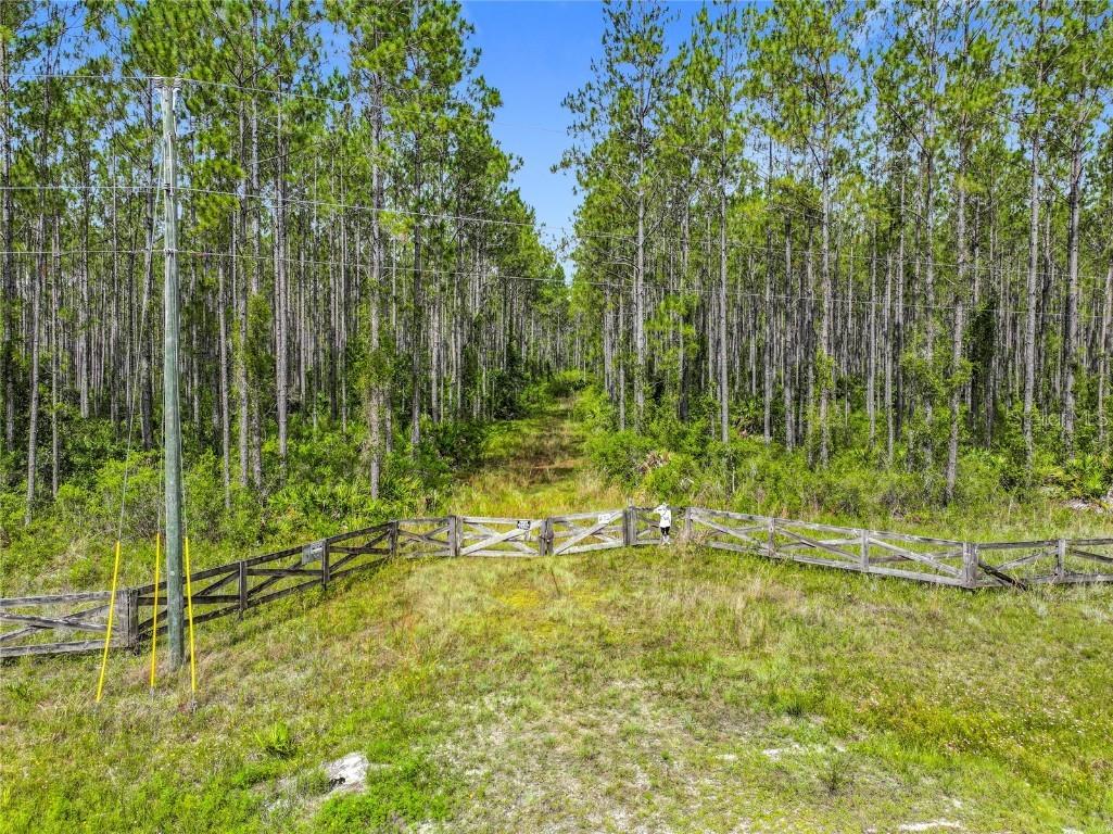 TBD NW Cr 336, Chiefland, FL 32626