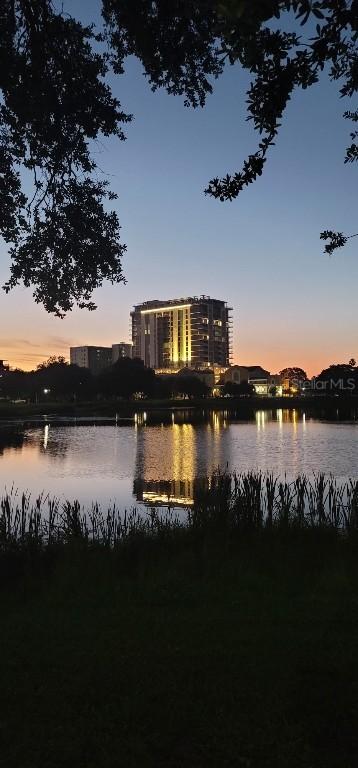 777 3rd Ave. #1503, St Petersburg, FL 33701