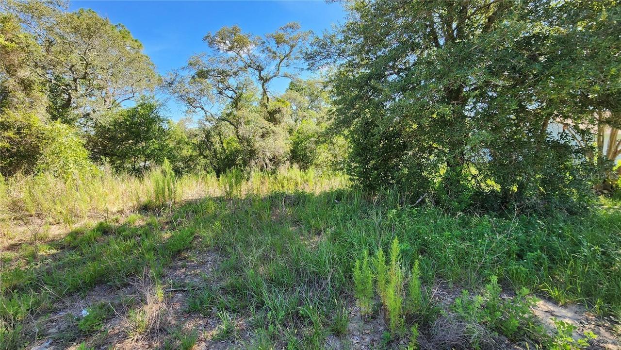 12501 Centennial St., Spring Hill, FL 34609