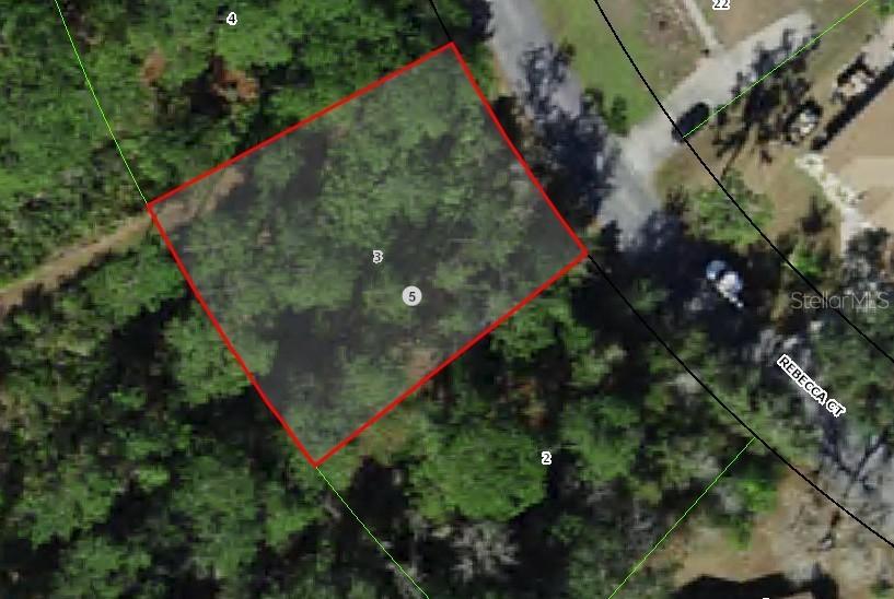 12 Rebecca Ct., Homosassa, FL 34446