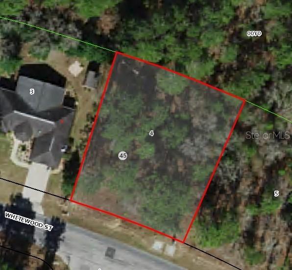82 Whitewood St., Homosassa, FL 34446