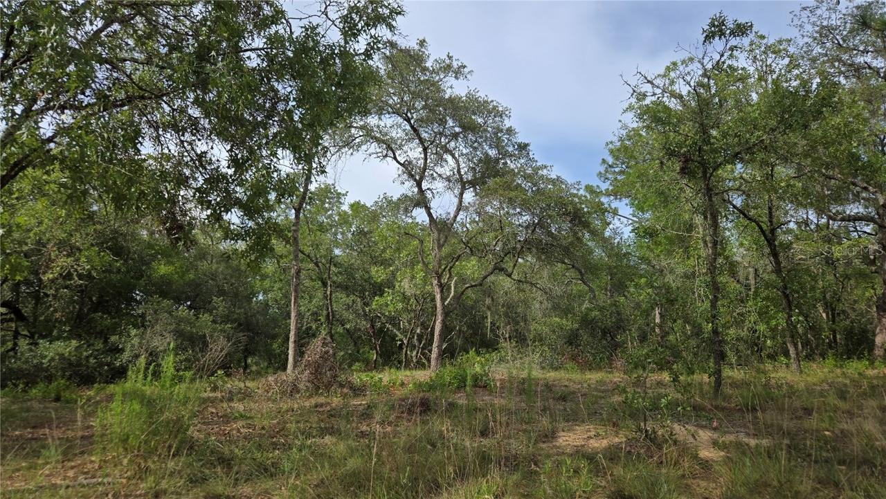 4811 N Redwood Ave., Hernando, FL 34442