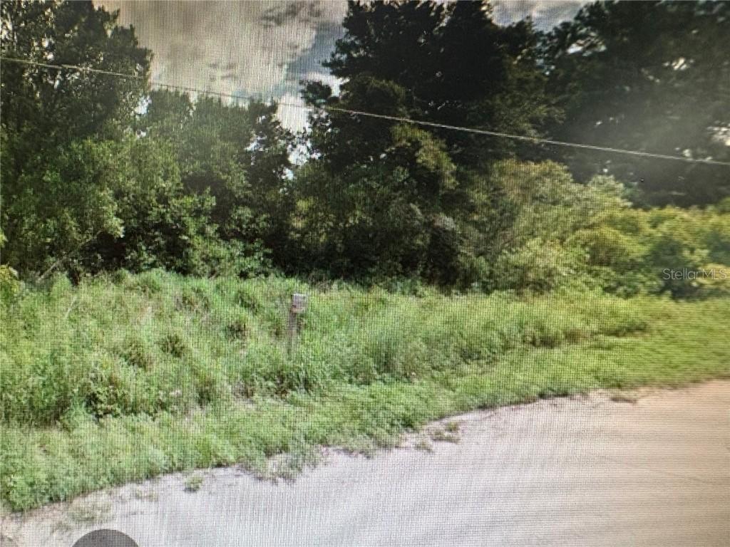 Rose Ave., Leesburg, FL 34788