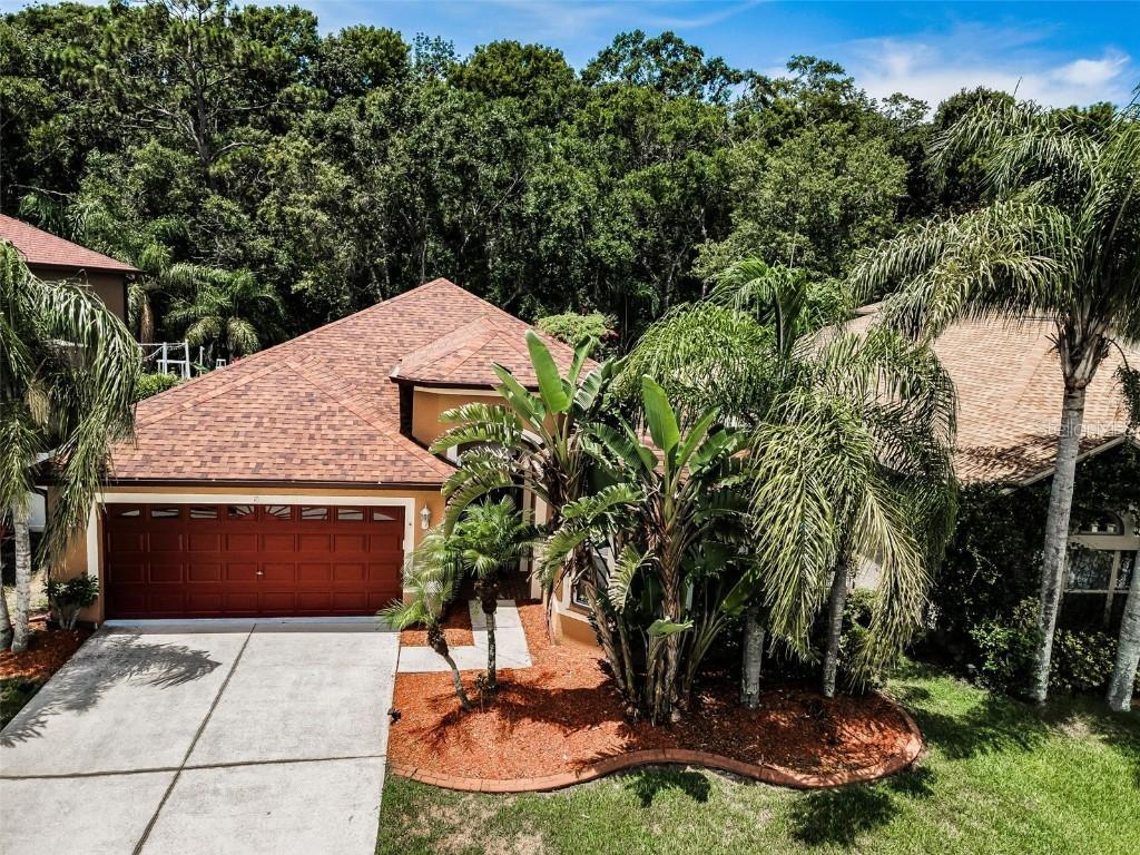 15762 Cedar Elm Ter., Land O Lakes, FL 34638